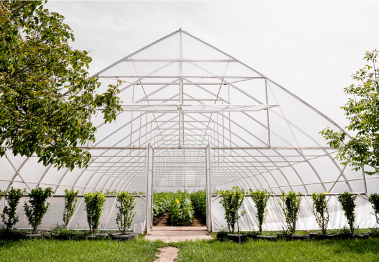 Green Houses